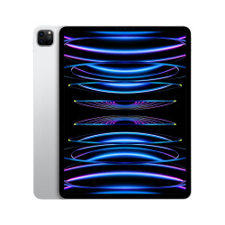 iPad APPLE MNXT3LZ/A