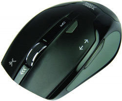 Mouse PERFECT CHOICE -